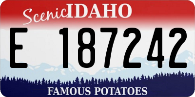 ID license plate E187242