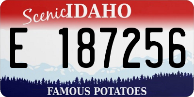 ID license plate E187256