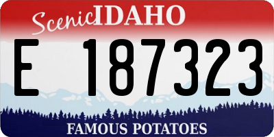ID license plate E187323