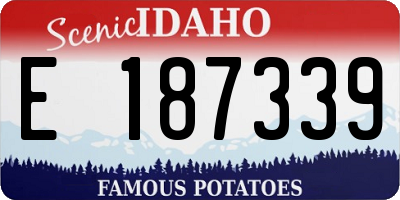 ID license plate E187339