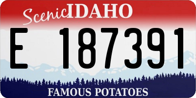 ID license plate E187391