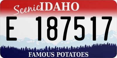 ID license plate E187517