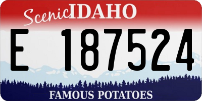 ID license plate E187524