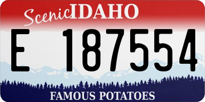 ID license plate E187554