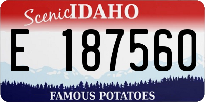 ID license plate E187560