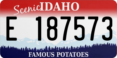 ID license plate E187573