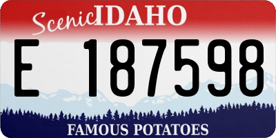 ID license plate E187598