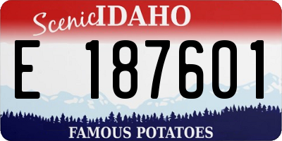 ID license plate E187601