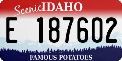 ID license plate E187602