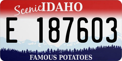 ID license plate E187603