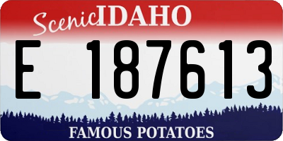ID license plate E187613
