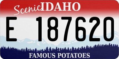 ID license plate E187620