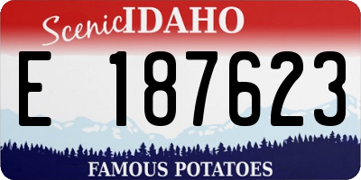ID license plate E187623