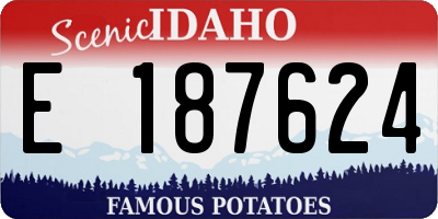 ID license plate E187624