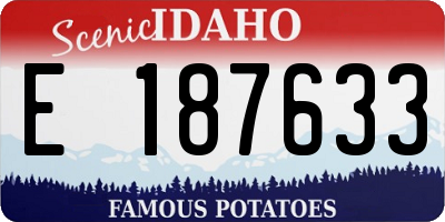 ID license plate E187633