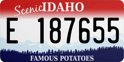 ID license plate E187655