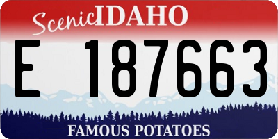 ID license plate E187663
