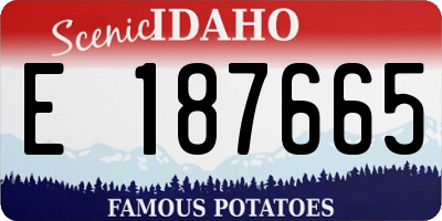 ID license plate E187665