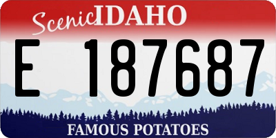 ID license plate E187687