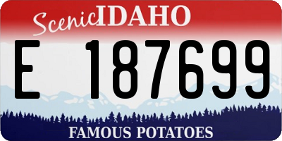 ID license plate E187699