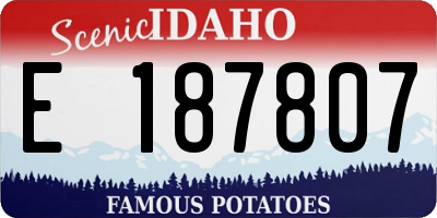 ID license plate E187807