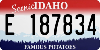 ID license plate E187834