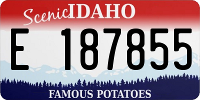 ID license plate E187855