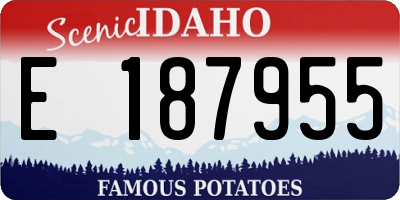 ID license plate E187955