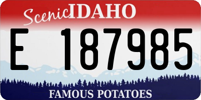 ID license plate E187985
