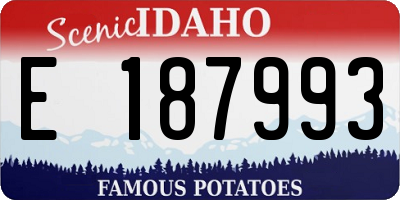 ID license plate E187993