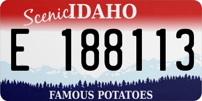 ID license plate E188113