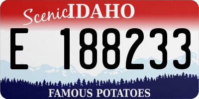 ID license plate E188233