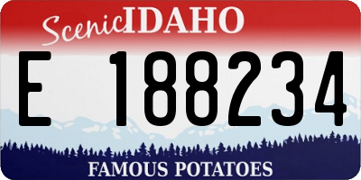 ID license plate E188234