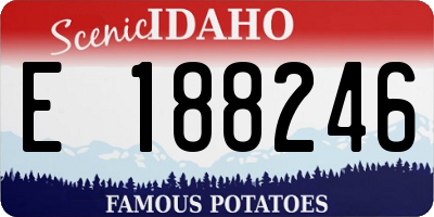 ID license plate E188246