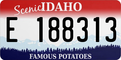 ID license plate E188313
