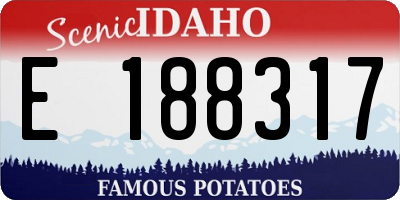 ID license plate E188317