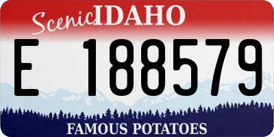 ID license plate E188579