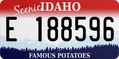 ID license plate E188596