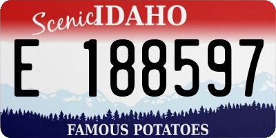 ID license plate E188597