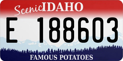 ID license plate E188603