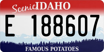 ID license plate E188607