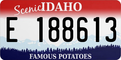 ID license plate E188613
