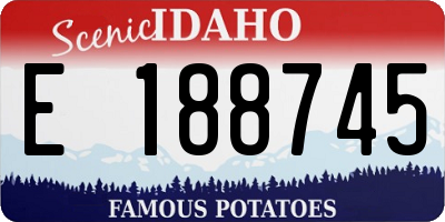 ID license plate E188745