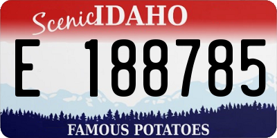 ID license plate E188785