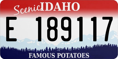 ID license plate E189117