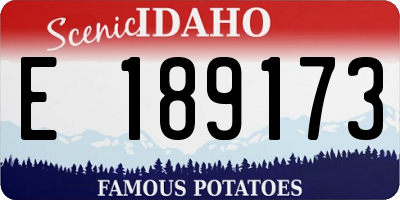 ID license plate E189173
