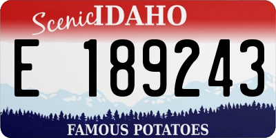ID license plate E189243