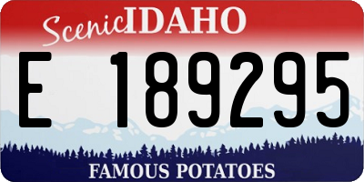 ID license plate E189295