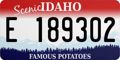 ID license plate E189302