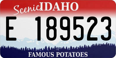 ID license plate E189523